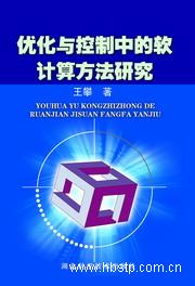 �Ż�������е������㷽���о�